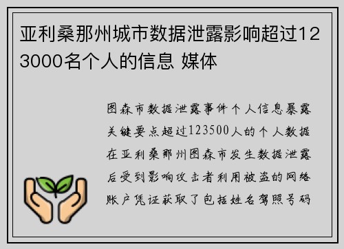 亚利桑那州城市数据泄露影响超过123000名个人的信息 媒体